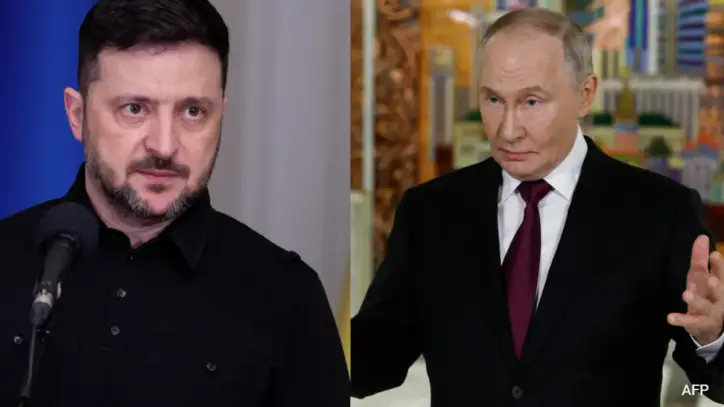 "No Airstrikes On Our Part": Zelensky Proposes Ceasefire With Russia
