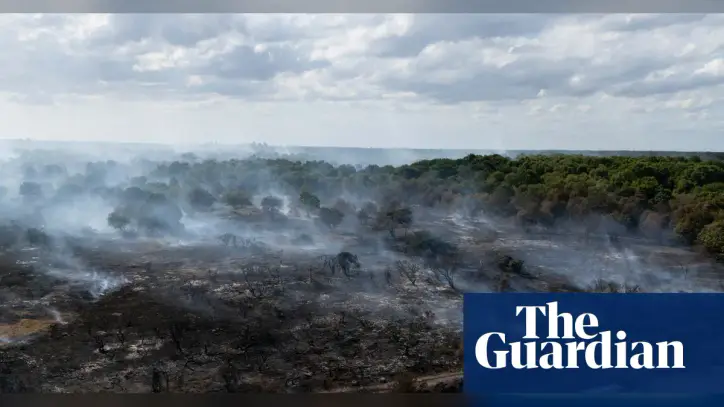 Revealed: Government quietly dropped plan to prepare England for wildfires