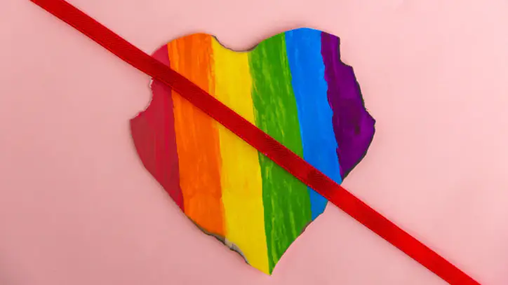 Sosyal medyada LGBTİ+ engellemeleri: Evrensel Gazetesi, Barış Akademisyenleri ve MLSA'nın hesapları kapatıldı