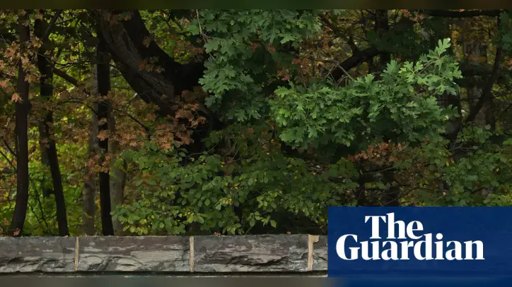 Texts about alleged Cornell gang-rape released after investigation reopened