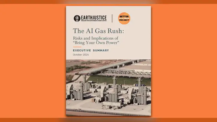 The AI Gas Rush: Risks and Implications of “Bring Your Own Power”