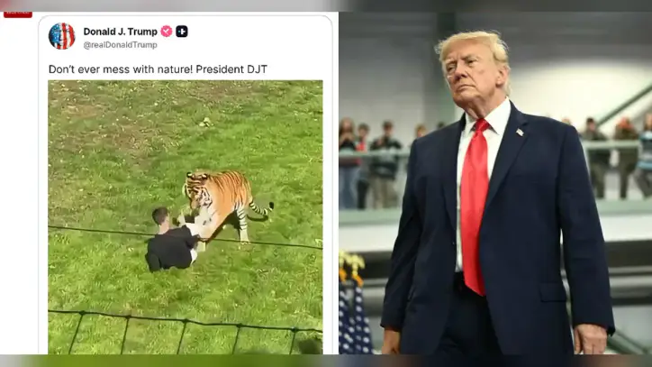 Kaplanın ziyaretçiyi öldürdüğü videoyu paylaşan Trump'a tepki yağdı | NTV Haber