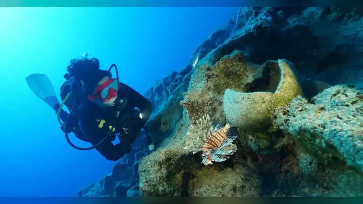 World's oldest shipwreck found off Turkey, archaeologists say: "Time capsule at the bottom of the sea"