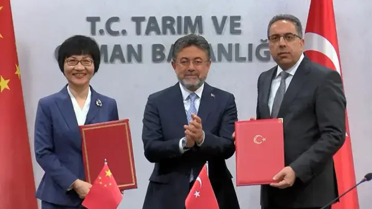 Türkiye ile Çin arasında defne ihracatı protokolü