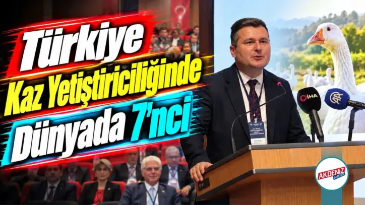 Türkiye Kaz Yetiştiriciliğinde Dünyada 7’nci