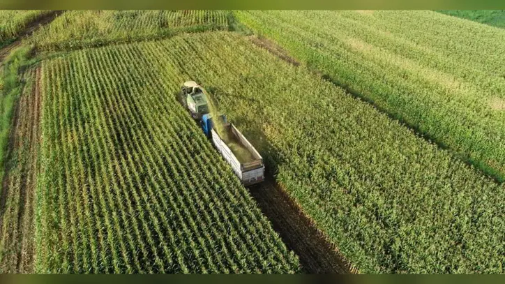 Tarımda üretici fiyatları geriledi