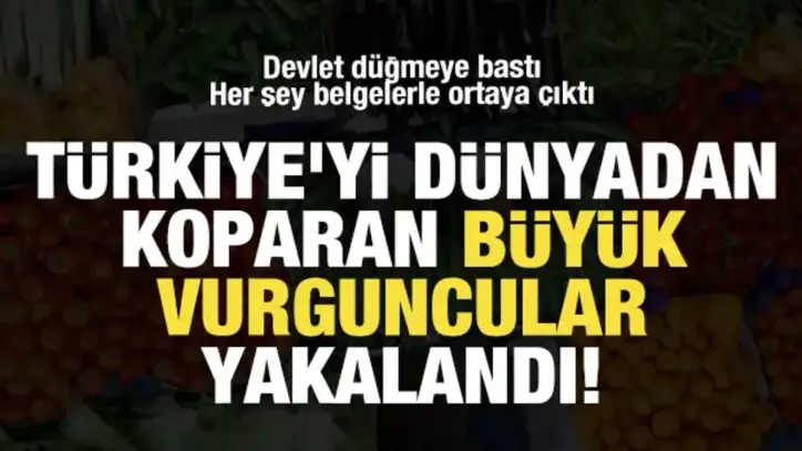 Türkiye'yi dünyadan koparan büyük vurguncular yakalandı