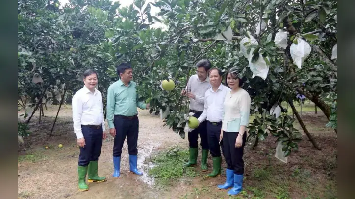 Tuyen Quang eyaleti, 2026 yılı için 31 bilim, teknoloji ve inovasyon projesini hayata geçirdi.
