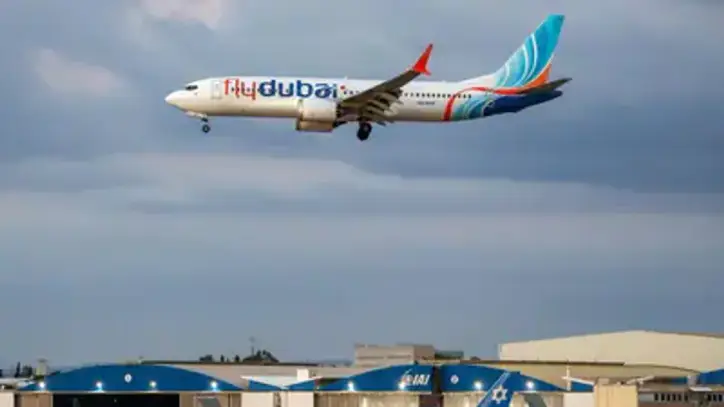 The incident took place when the co-pilot on the flydubai plane stabbed the pilot and sent the aircraft plunging nearly 14,000 feet (4,267 m) in less than 30 seconds. (AFP)