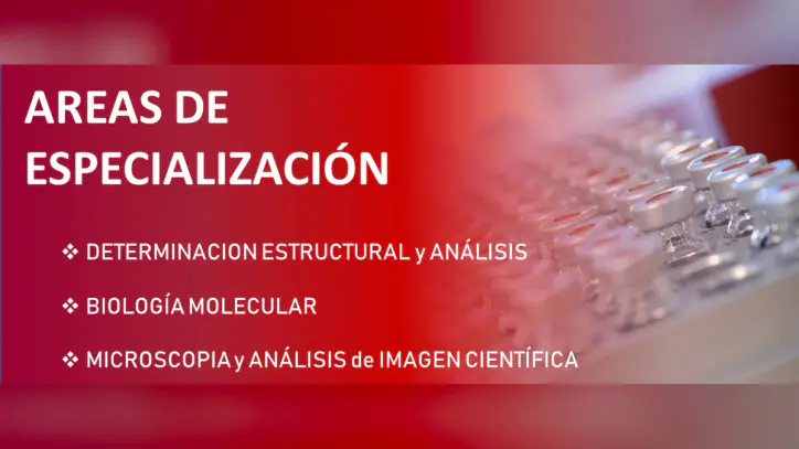 Diapositiva7.PNG