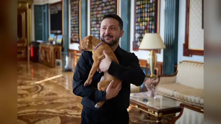 Ukraine's president coos over a puppy, starting a new volley in his war of visuals against Russia