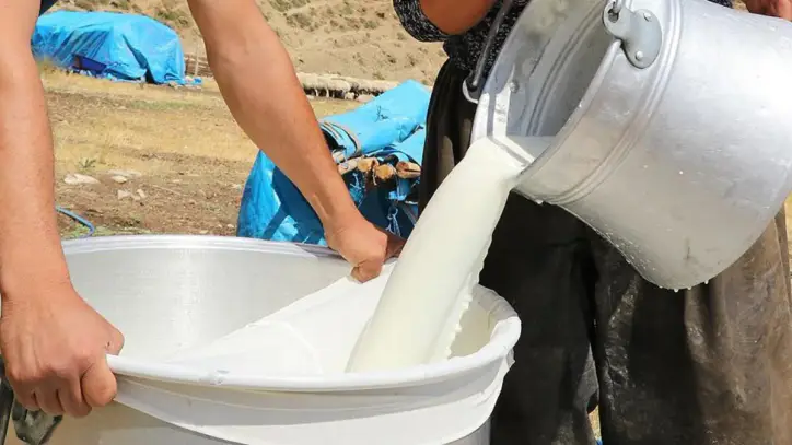 Üretici çiğ sütte zarar ediyor