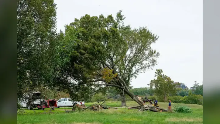 Judge blasts Trump’s DOJ over ‘inexcusable’ tree removal at DC golf course - Hawaii Tribune-Herald