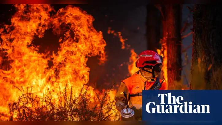 Who are the 514 people accused of starting French wildfires and what motivates them?