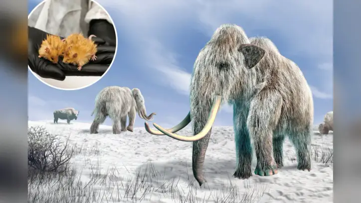 Woolly mammoth to be resurrected with the help of AI: scientists