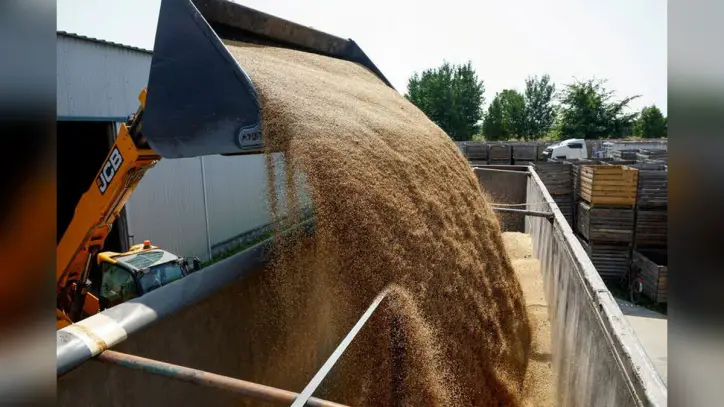 World Food Prices Near Four-Year High in September, UN Says