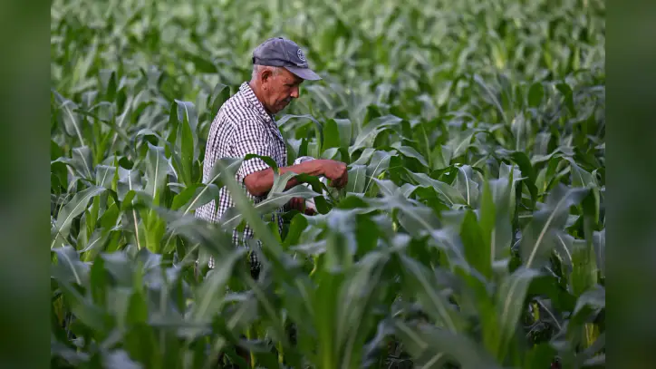 Opinion | World hunger decline is good news. The work isn’t done yet.
