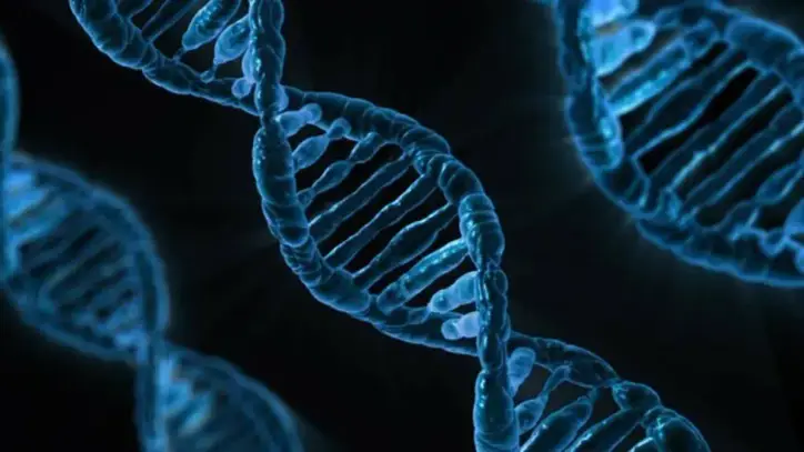 Yapay zekâ 9 milyar DNA değişikliğini analiz etti - Manşet Haber