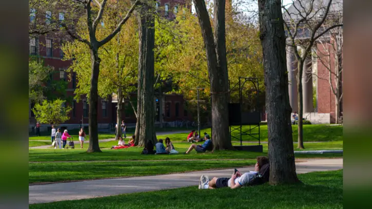AI Isn’t the Problem. We Are. | The Harvard Crimson