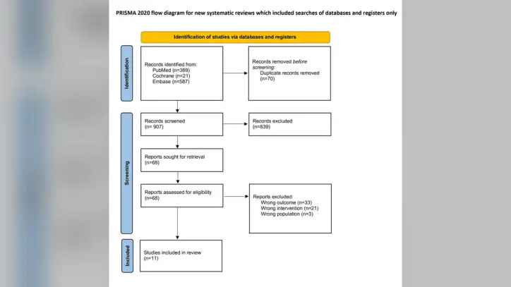Preferred-Reporting-Items-for-Systematic-Reviews-and-Meta-Analyses-(PRISMA)-2020-flow-diagram.-