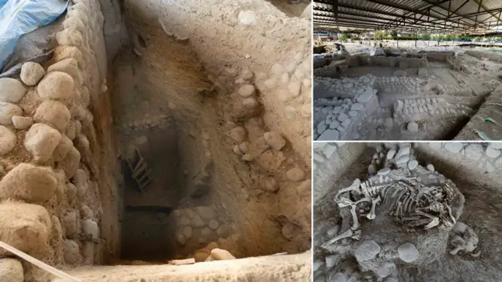 Yassıtepe Höyüğü’nde 5 Bin Yıllık Kent Ortaya Çıktı: İzmir’in Troya’sı