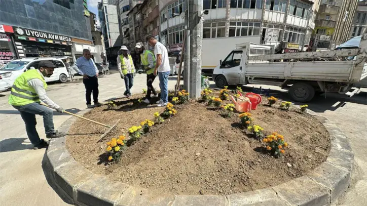Yüksekova Kültür Sanat Sokağı yeşillendirildi